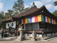 วัดนินนาจิ (Ninnaji)