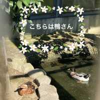 知多半島の旅　明治天皇縁の地　雁宿公園