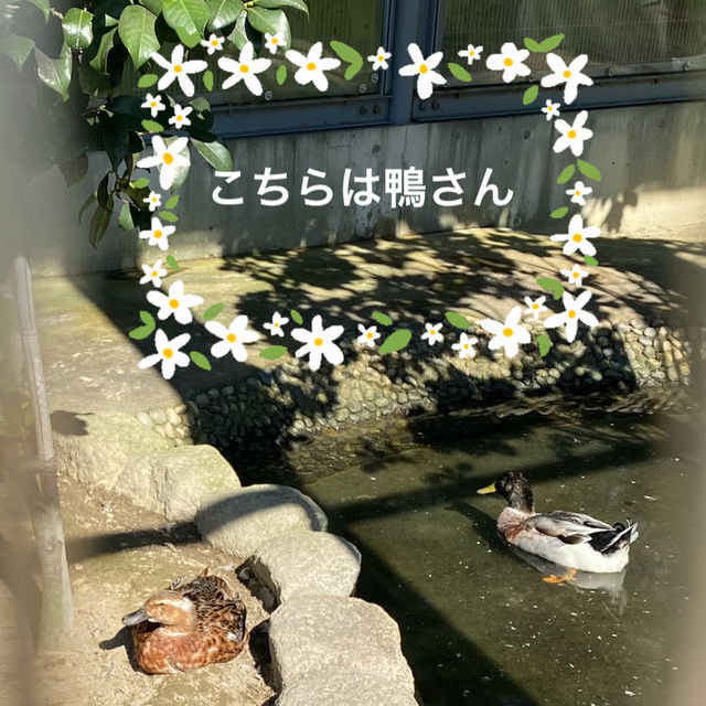 知多半島の旅　明治天皇縁の地　雁宿公園