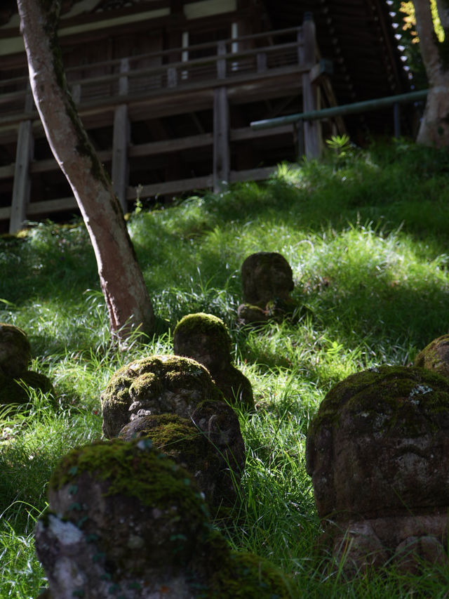 【京都観光】かわいい羅漢像がいっぱい！「愛宕念仏寺」⛩️🗿