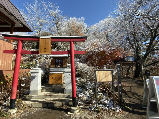 🇯🇵 富士山河口湖全景觀賞方法