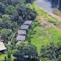  Exploring the Borneo Rainforest: A Journey into Nature's Wonderland