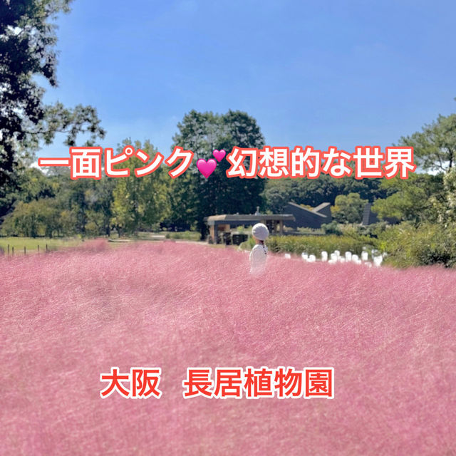 一面ピンク🥰幻想的なピンクの世界💖💖💖