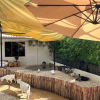  Little Zoo Garden Cafe