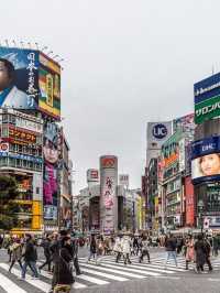 the beautiful charm of the city of Tokyo