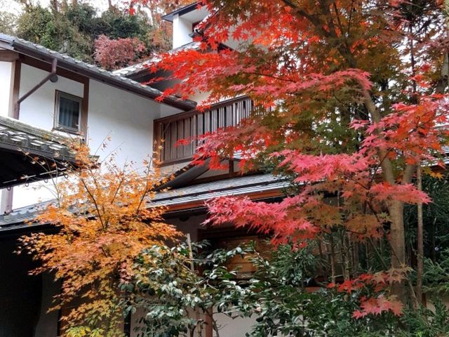 A autumn foliage at Engaku-ji, Kamakura