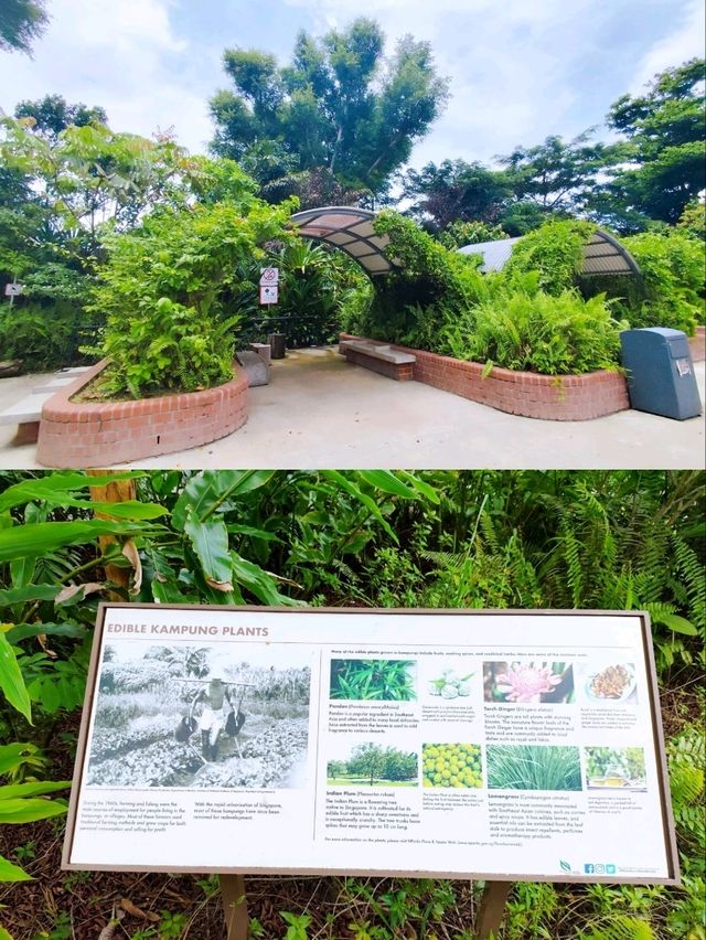 Hidden Gem Sembawang Hot Spring Park