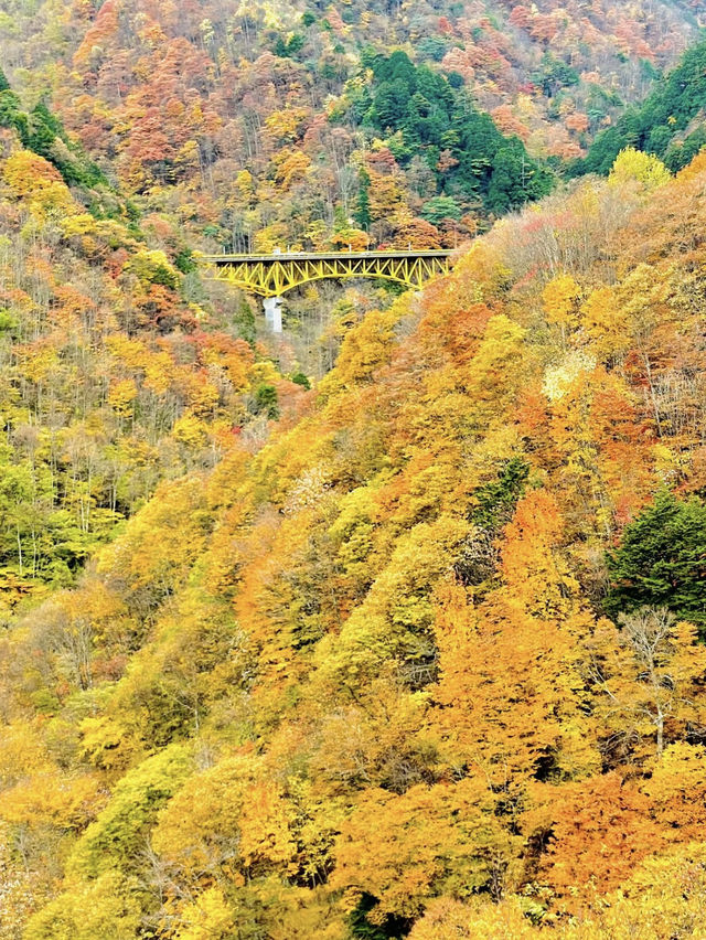 【奥秩父】絶景紅葉🍁 穴場スポット