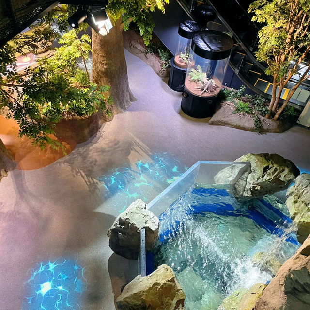 【高知】これが水族館！？海と自然のアドベンチャーミュージアム！高知県立足摺海洋館SATOUMI