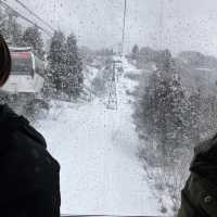 東京一程車就到｜適合一家大小的滑雪場⛷️❄️ 