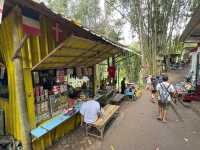 Tumpak Sewu, Asian Niagara Falls