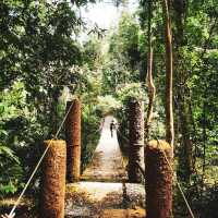 เขาใหญ่ ที่เที่ยวธรรมชาติใกล้กรุง 🌿⛰️