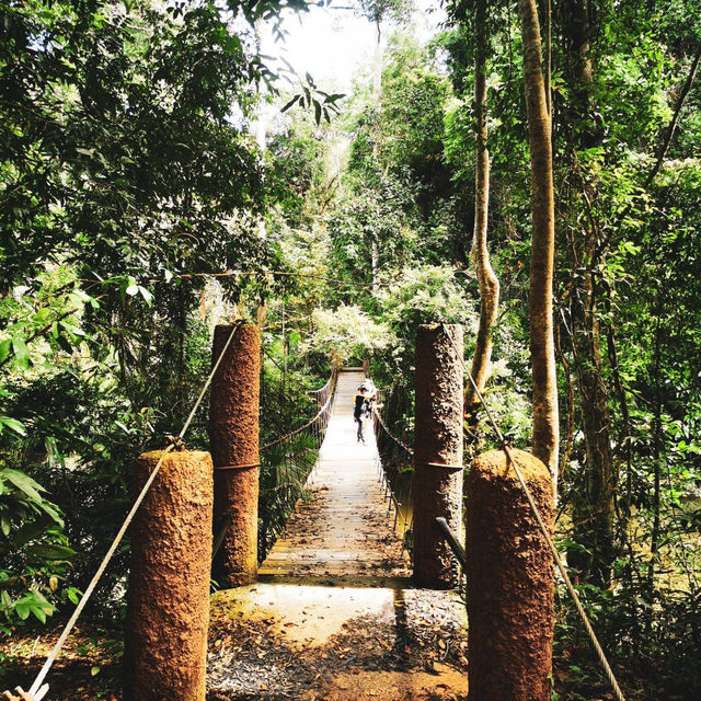 เขาใหญ่ ที่เที่ยวธรรมชาติใกล้กรุง 🌿⛰️
