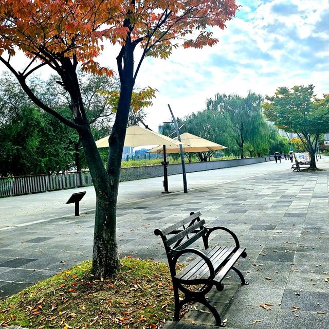 광교호수공원으로의 야외데이트❤️