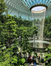 Snap Away at Jewel Rain Vortex