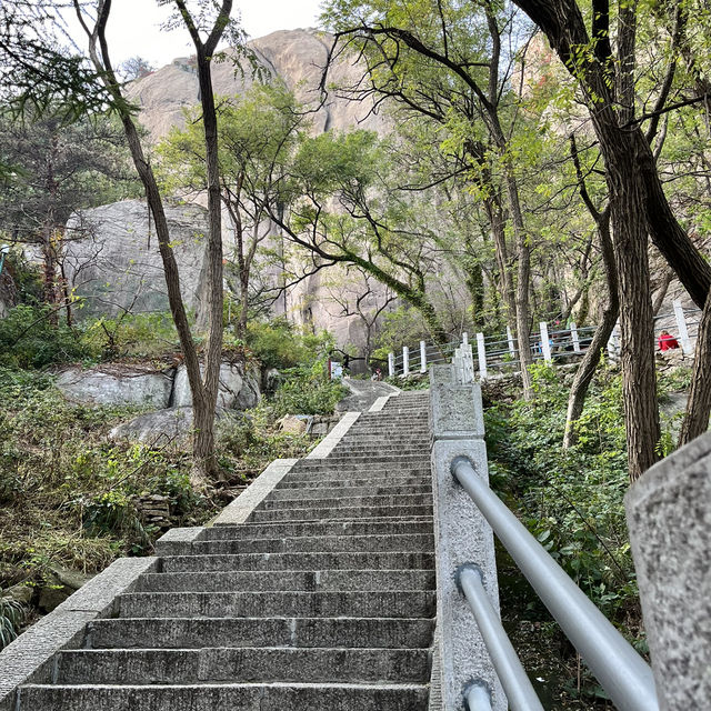 ชิงเต่า  เที่ยว เขา Laoshan