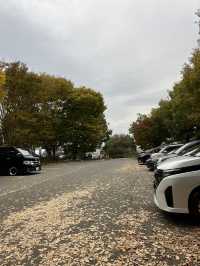 【軽井沢】遊具もターザンロープもある！紅葉が綺麗な緑地公園🍁
