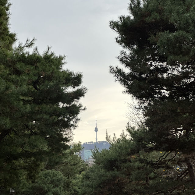 너무나 예뻤던 청와대