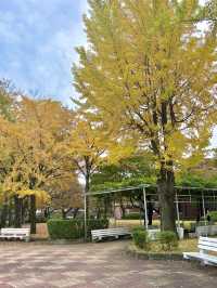 떠오르는 북캉스 명소인 서울 북촌 정독 도서관🌳💚