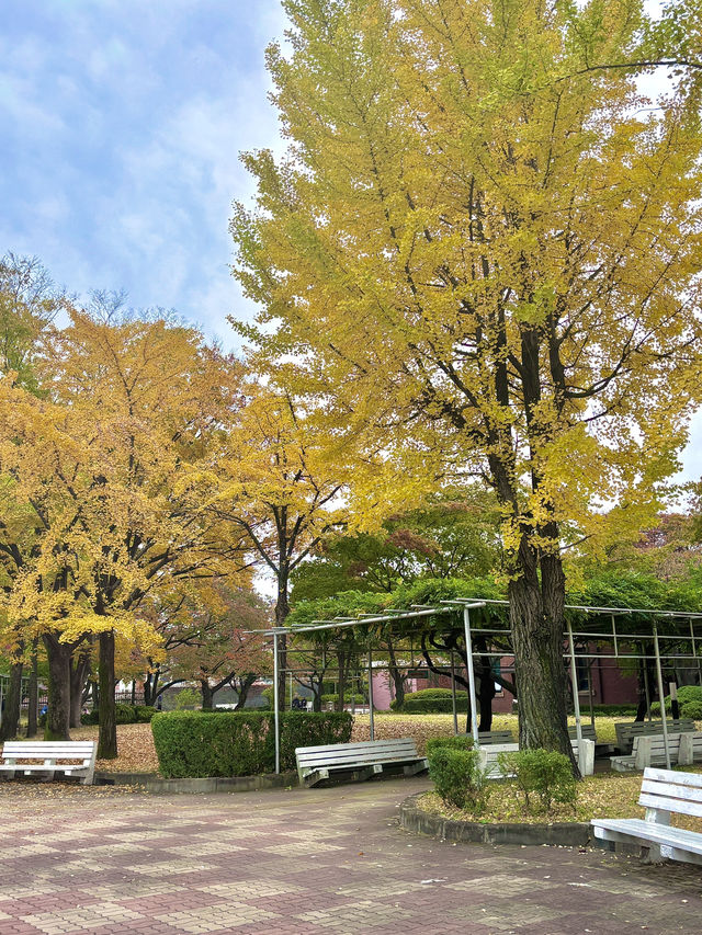 떠오르는 북캉스 명소인 서울 북촌 정독 도서관🌳💚