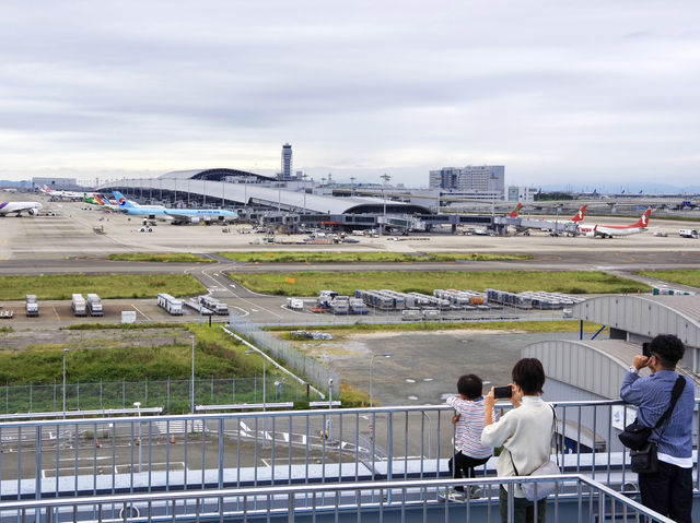 【関西国際空港】飛行機眺めてのんびりスポット🍵