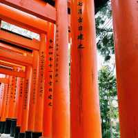 ⛩️超經典而壯觀的代表鳥居⛩️