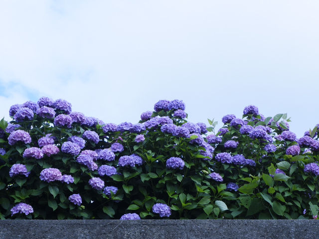 名古屋愛知縣景點：適合自駕遊 