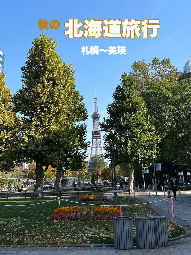 北海道　札幌〜美瑛の旅行プラン！