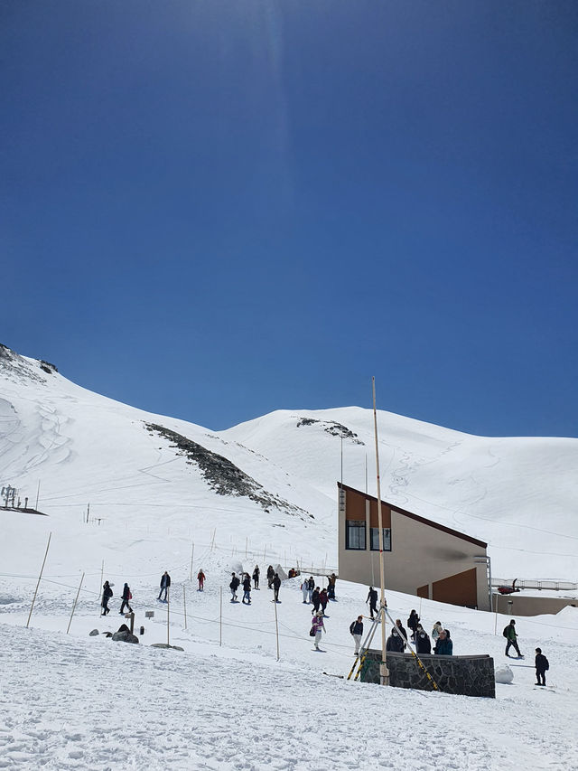 ❄️✨Tateyama 