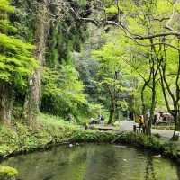 三室峽：自然詩篇 🌊🏞️