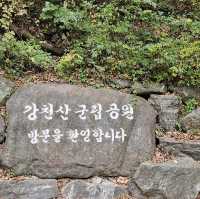 단풍이 이뻤던 곳 추천