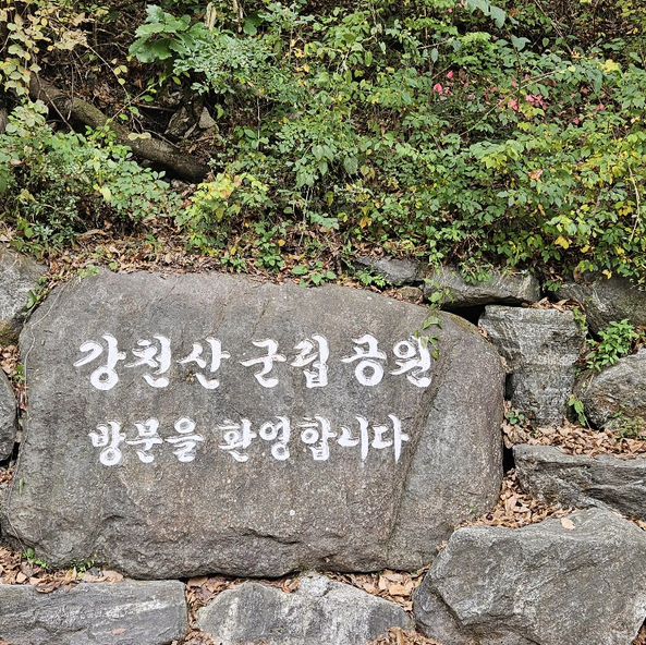 단풍이 이뻤던 곳 추천