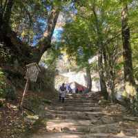 岡山景點｜空中之城．日本唯一山城天守閣—備中松山城（高粱城）