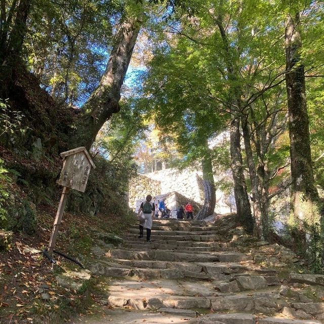 岡山景點｜空中之城．日本唯一山城天守閣—備中松山城（高粱城）