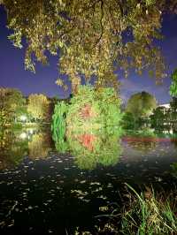 北海道　札幌観光　中島公園2024 紅葉の中島公園ライトアップが最高だった！