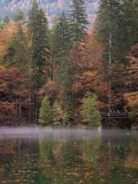 瑞士🇨🇭｜藍湖（Blausee）的靜謐之美
