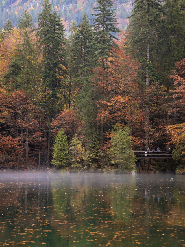 瑞士🇨🇭｜藍湖（Blausee）的靜謐之美