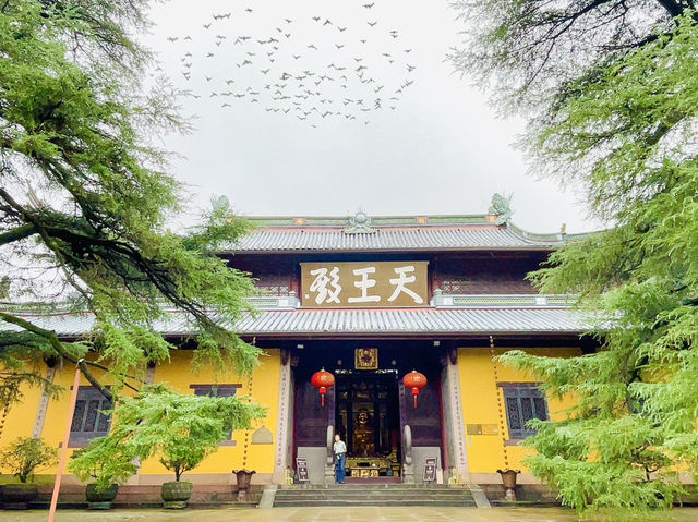 A most significant Zen Buddhist temples in China🇨🇳😎
