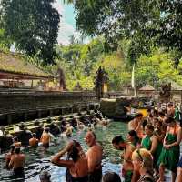 Sacred Waters of Tirta Empul Holy Water Temple