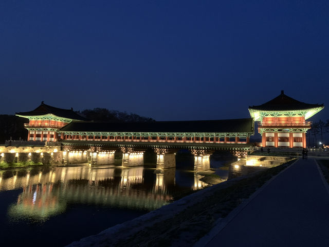 Springtime Magic: Sakura Nights at Woljeonggyo Bridge