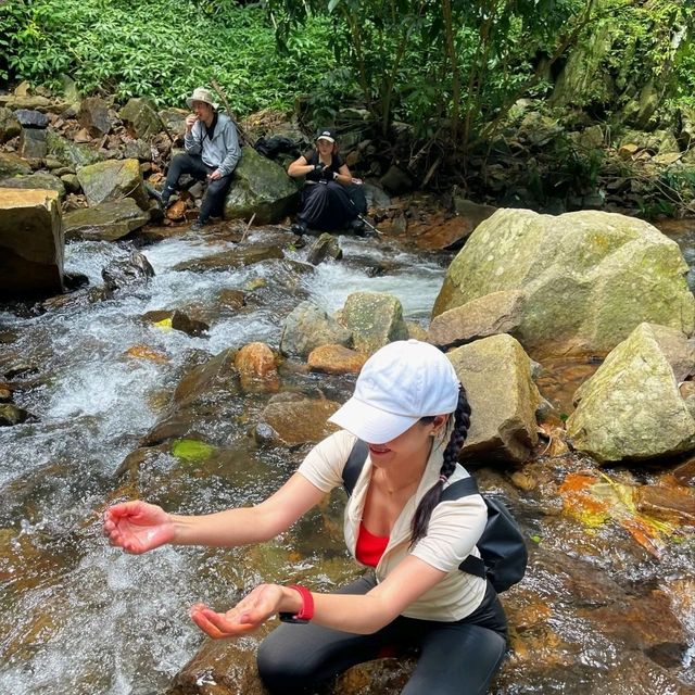 🍄One day trip สระบุรี - น้ำตกโกรกอีดก 🌳