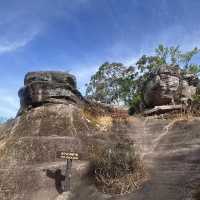 อุทยานแห่งชาติภูหินล่องกล้า ท้าลมหนาว ลานหินปุ่ม