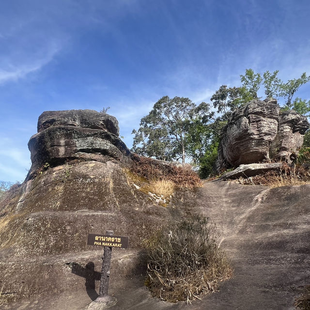 อุทยานแห่งชาติภูหินล่องกล้า ท้าลมหนาว ลานหินปุ่ม
