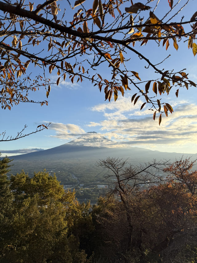 東京之旅｜一生人一定要去睇一次富士山