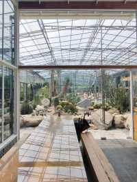 Botanist activity space and more คาเฟ่กระบองเพชร