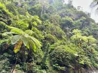 Discovering the Enchantment of Madakaripura Waterfall