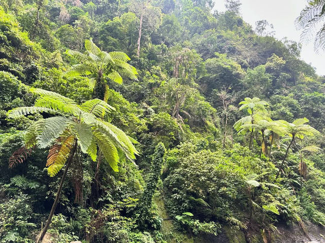 Discovering the Enchantment of Madakaripura Waterfall