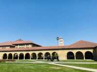 アメリカ観光　スタンフォード大学散策！
