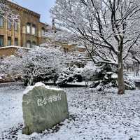 Discover Hokkaido’s Hidden Wonders