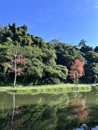 ［桃園旅遊］桃園小秘境-山豬湖生態親水園區🌿🍃🍁🍂